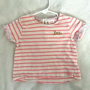 Zara Pink White Stripe Little Top Gold Shirt Floral